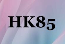 搬瓦工：中国香港 HK85 机房 [HKHK_3] 电信去程路由从 NTT 改为 CN2 GIA-主机狗